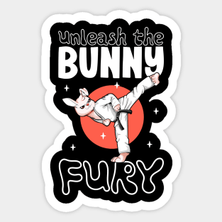 Bunny doing Hapkido Sticker